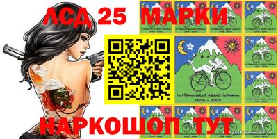 PSILOCYBIN Камышлов