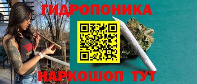 PSILOCYBIN Камышлов