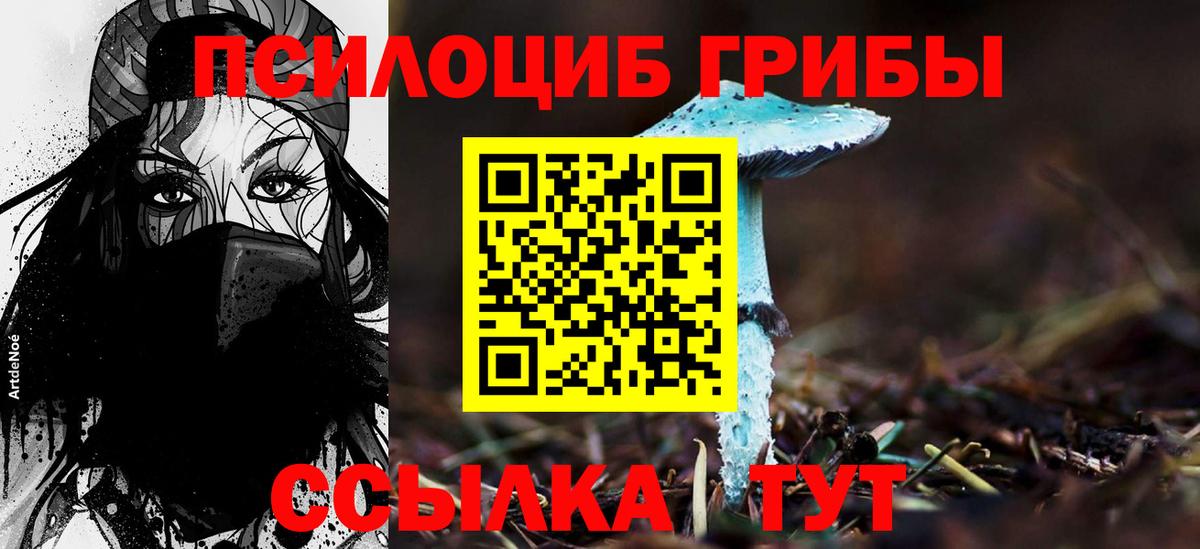 Псилоцибиновые грибы Cubensis Коломна