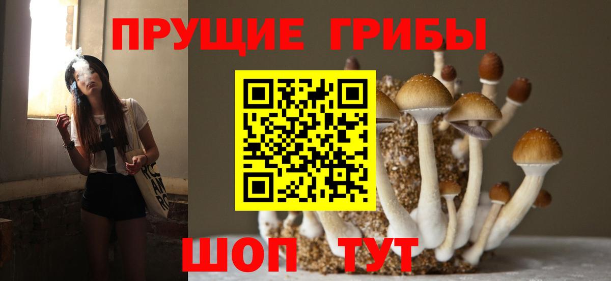 Галлюциногенные грибы прущие грибы  Вход с VPN  хочу наркоту  Галлюциногенные грибы GOLDEN TEACHER  Коломна 